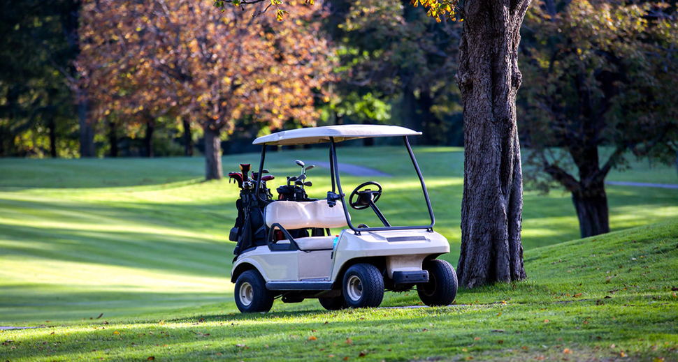 golf cart parked beneath tree